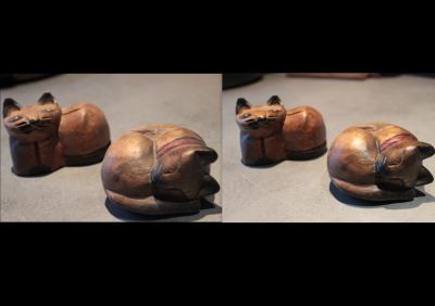 259307001456065918images1