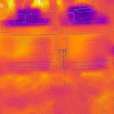 Flir 20211014 081249