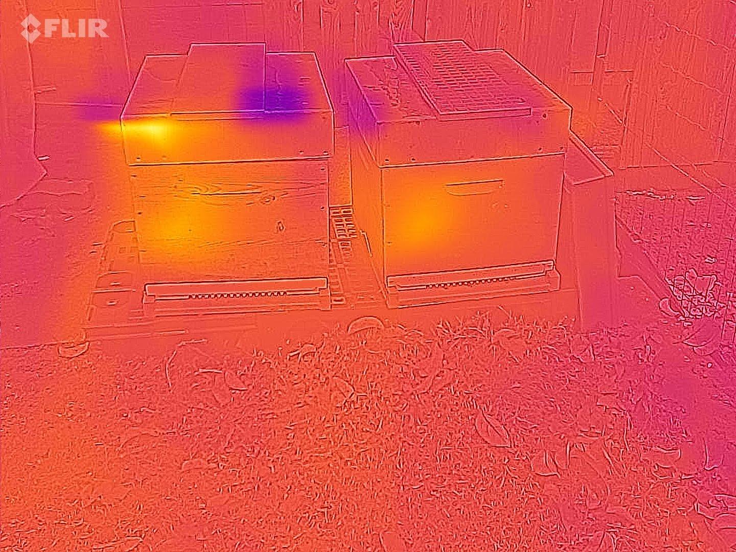 Flir 20211208 110647