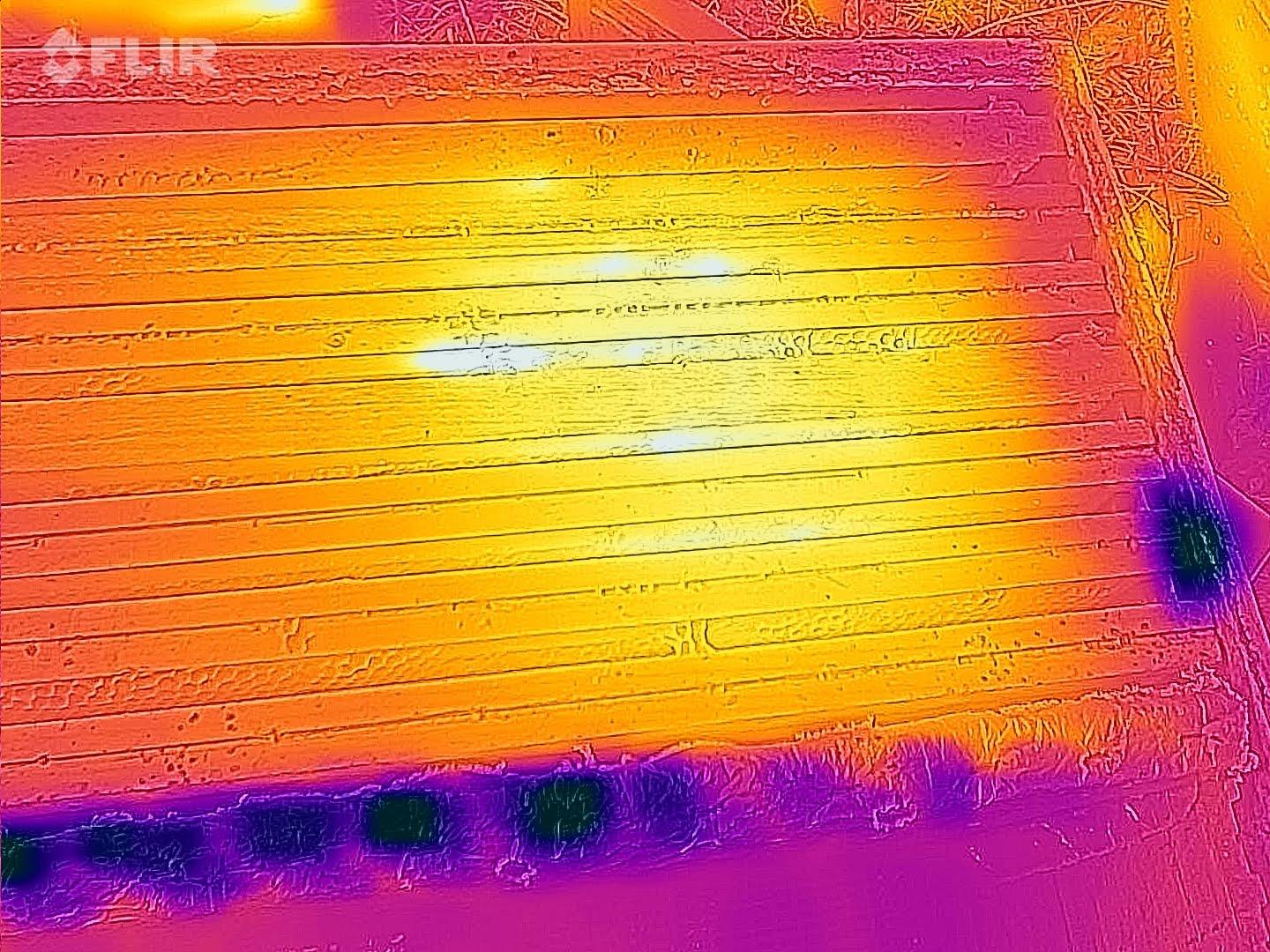 Flir 20230129 102442 116