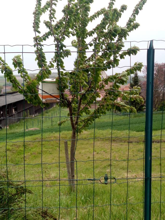 Img 20170508 165643